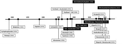 Overcoming the challenges of drug development in platinum-resistant ovarian cancer